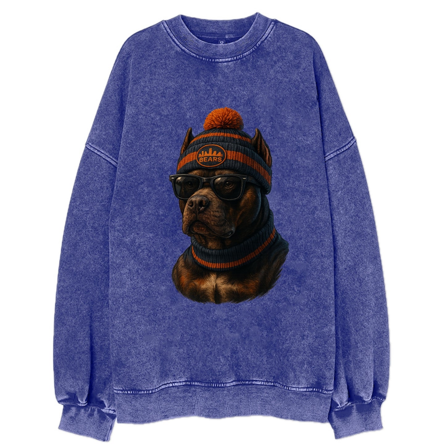 Chicago Pitbull wearing Bears beanie with skyline patch and wayfarer sunglasses - Vintage Sweatshirt - Blue