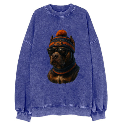 Chicago Pitbull wearing Bears beanie with skyline patch and wayfarer sunglasses - Vintage Sweatshirt - Blue