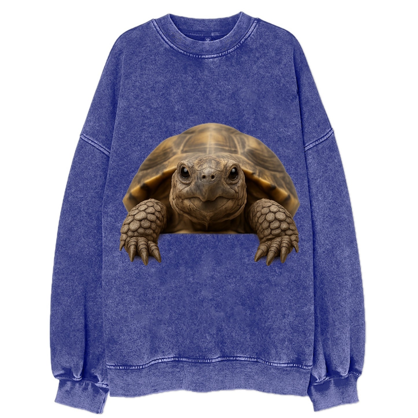 Tortoise  - Vintage Sweatshirt - Blue