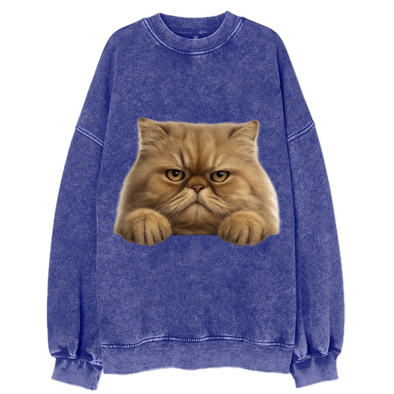 Persian Cat  - Vintage Sweatshirt - Blue