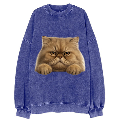 Persian Cat  - Vintage Sweatshirt - Blue