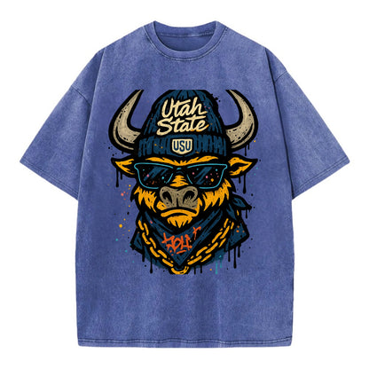 Logan Aggie wearing Utah State beanie with USU patch - Vintage T-shirt - Blue
