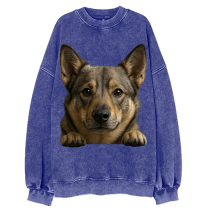 Swedish Vallhund  - Vintage Sweatshirt - Blue