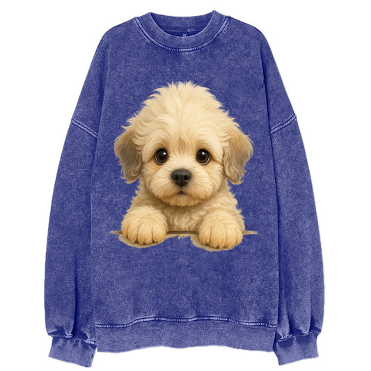 Dandie Dinmont Terrier  - Vintage Sweatshirt - Blue