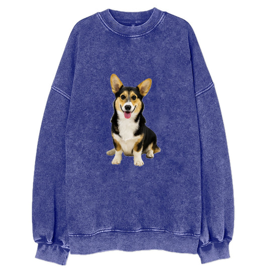Tricolor Corgi - Vintage Sweatshirt - Blue