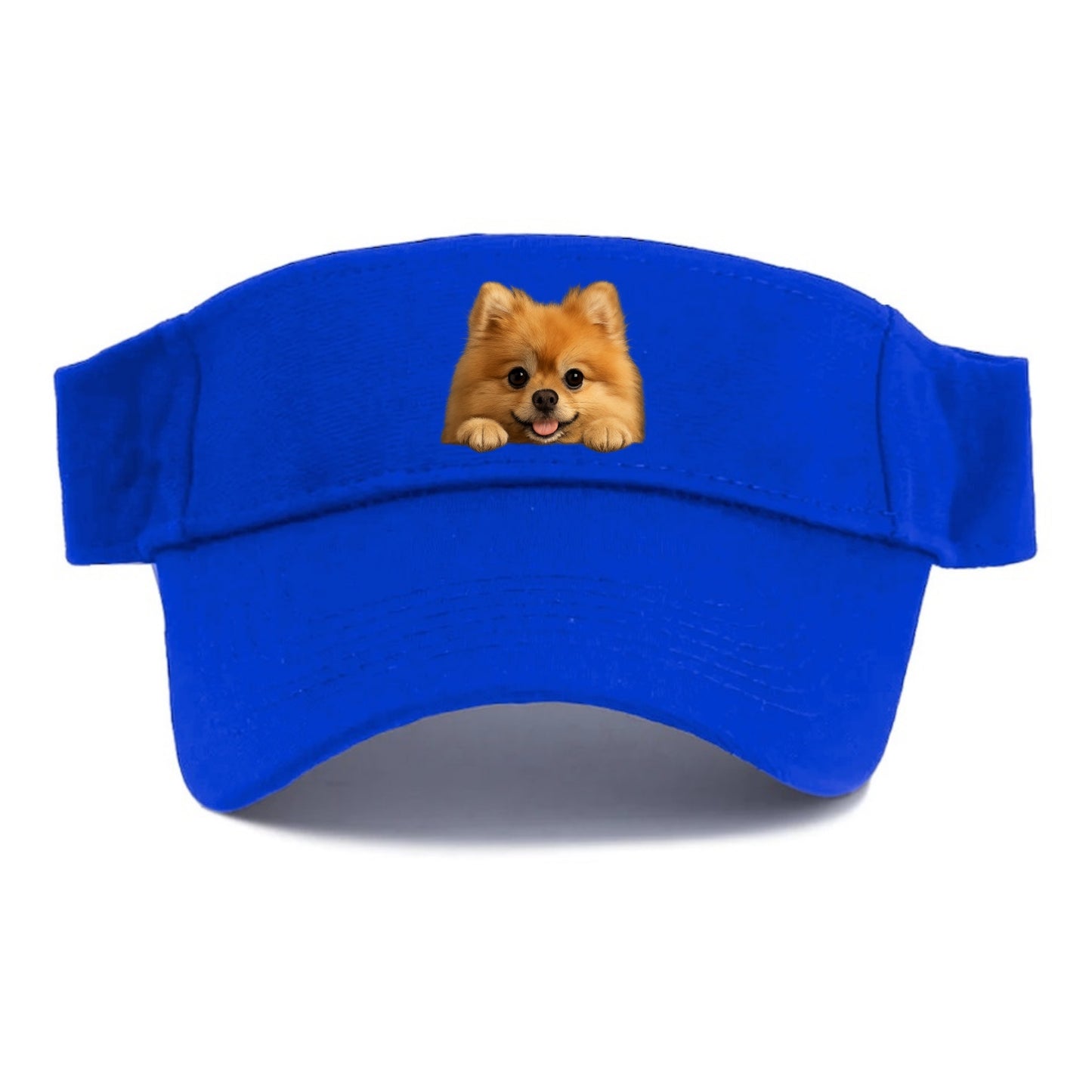 Pomeranian  - Visor - Blue