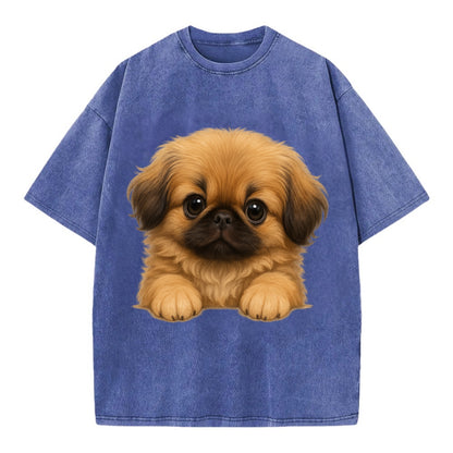 Pekingese  - Vintage T-shirt - Blue