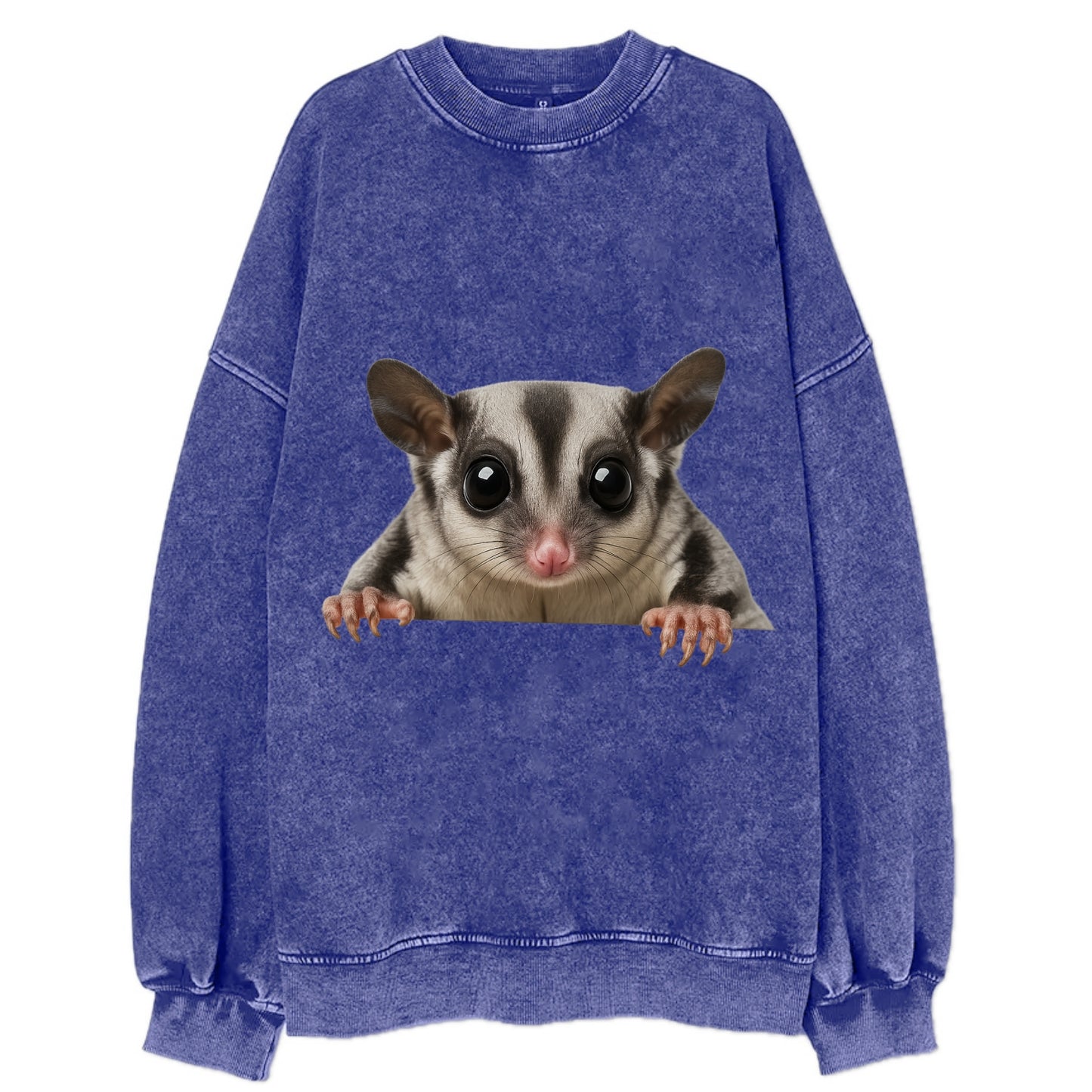 Sugar Glider  - Vintage Sweatshirt - Blue