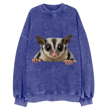 Sugar Glider  - Vintage Sweatshirt - Blue