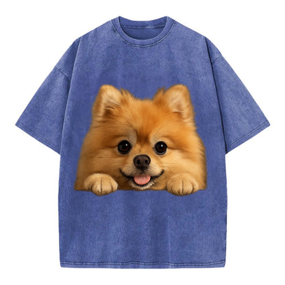 Pomeranian  - Vintage T-shirt - Blue