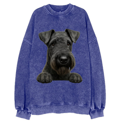 Kerry Blue Terrier  - Vintage Sweatshirt - Blue