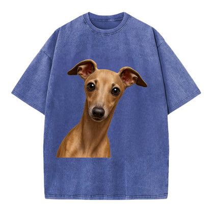 Italian Greyhound  - Vintage T-shirt - Blue