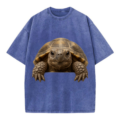 Tortoise  - Vintage T-shirt - Blue