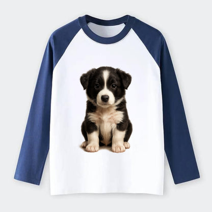 Baby Border Collie Puppy - black and white, intense smart eyes, - Raglan Long Sleeve T-Shirt - Blue