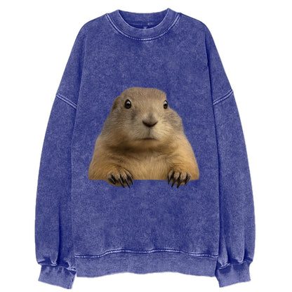 Prairie Dog  - Vintage Sweatshirt - Blue