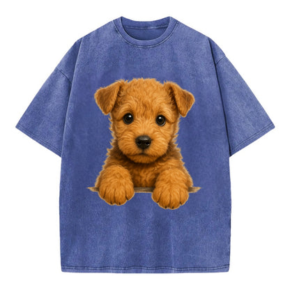 Lakeland Terrier  - Vintage T-shirt - Blue