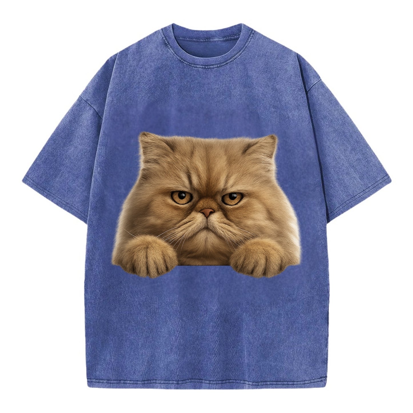 Persian Cat  - Vintage T-shirt - Blue