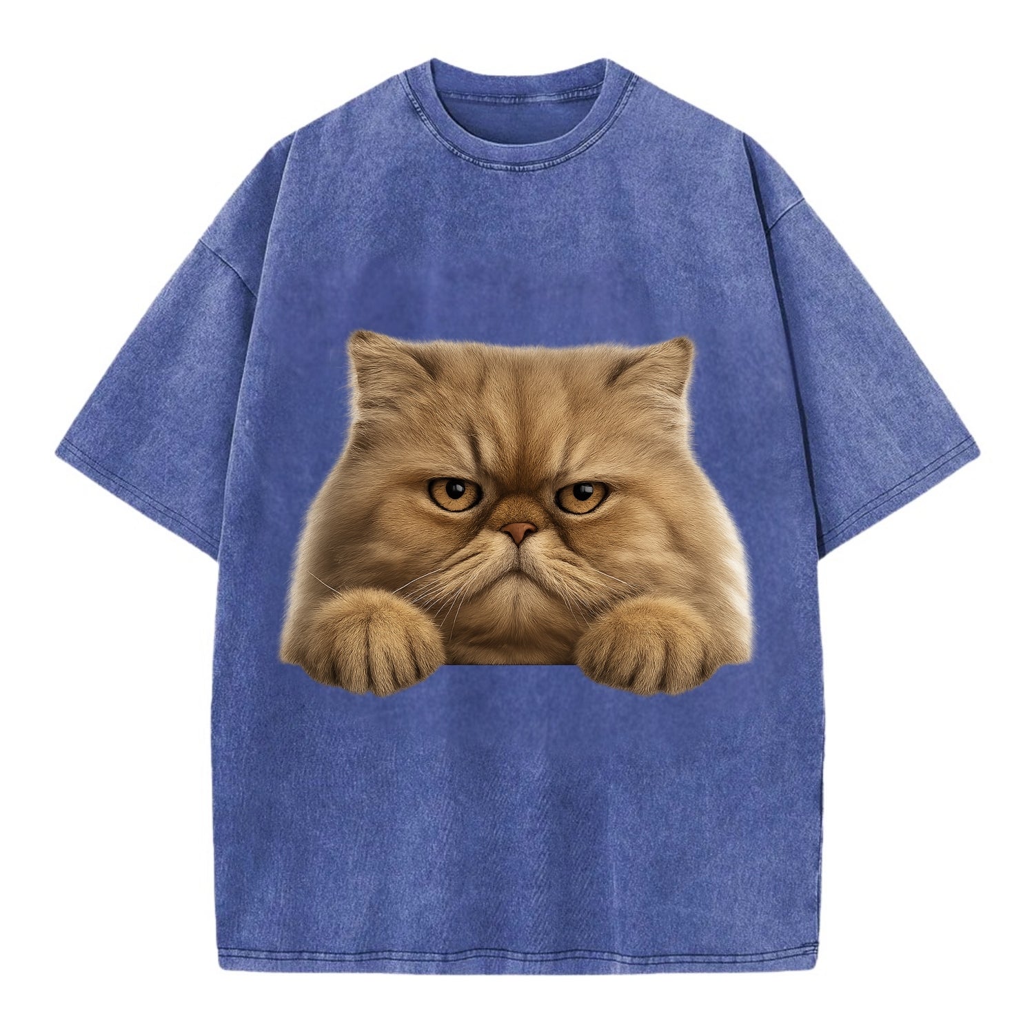 Persian Cat  - Vintage T-shirt - Blue