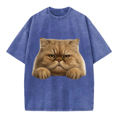 Persian Cat  - Vintage T-shirt - Blue
