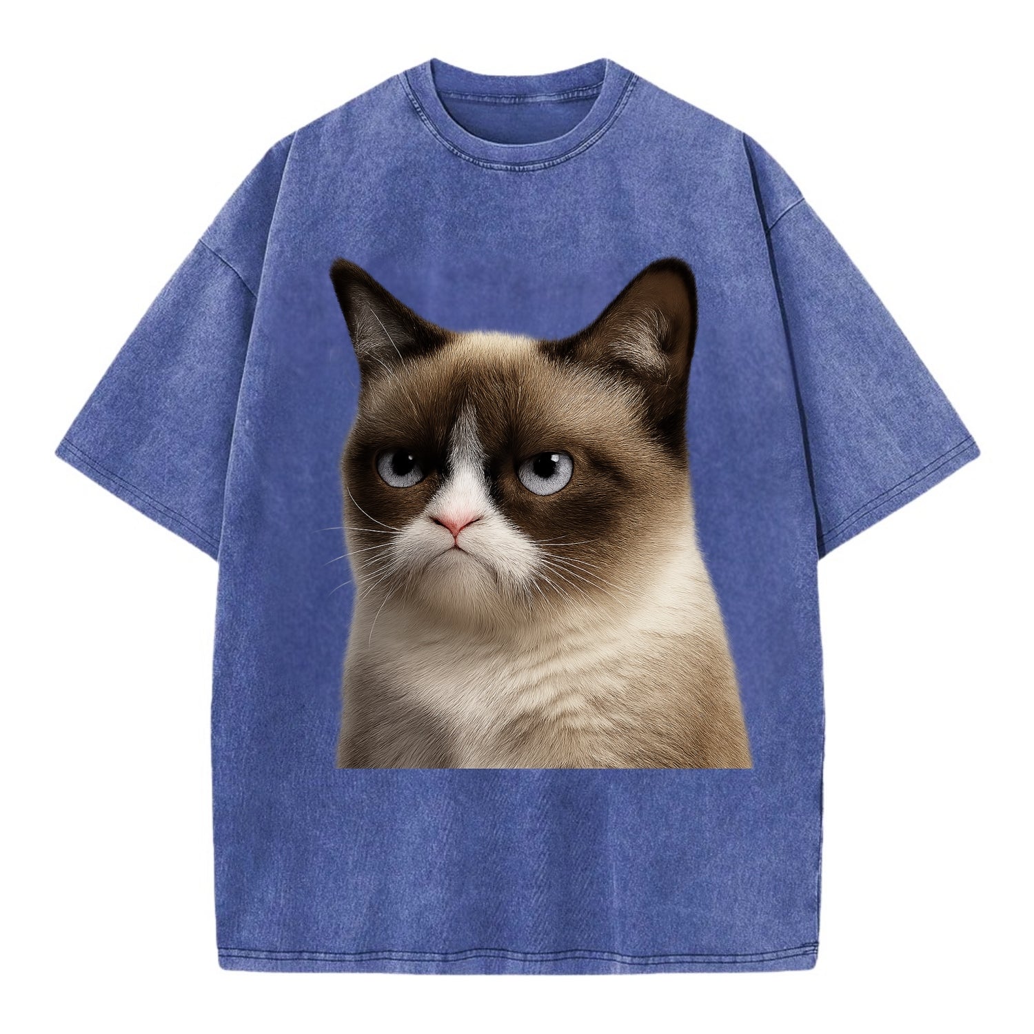 Grumpy Cat Expression  - Vintage T-shirt - Blue