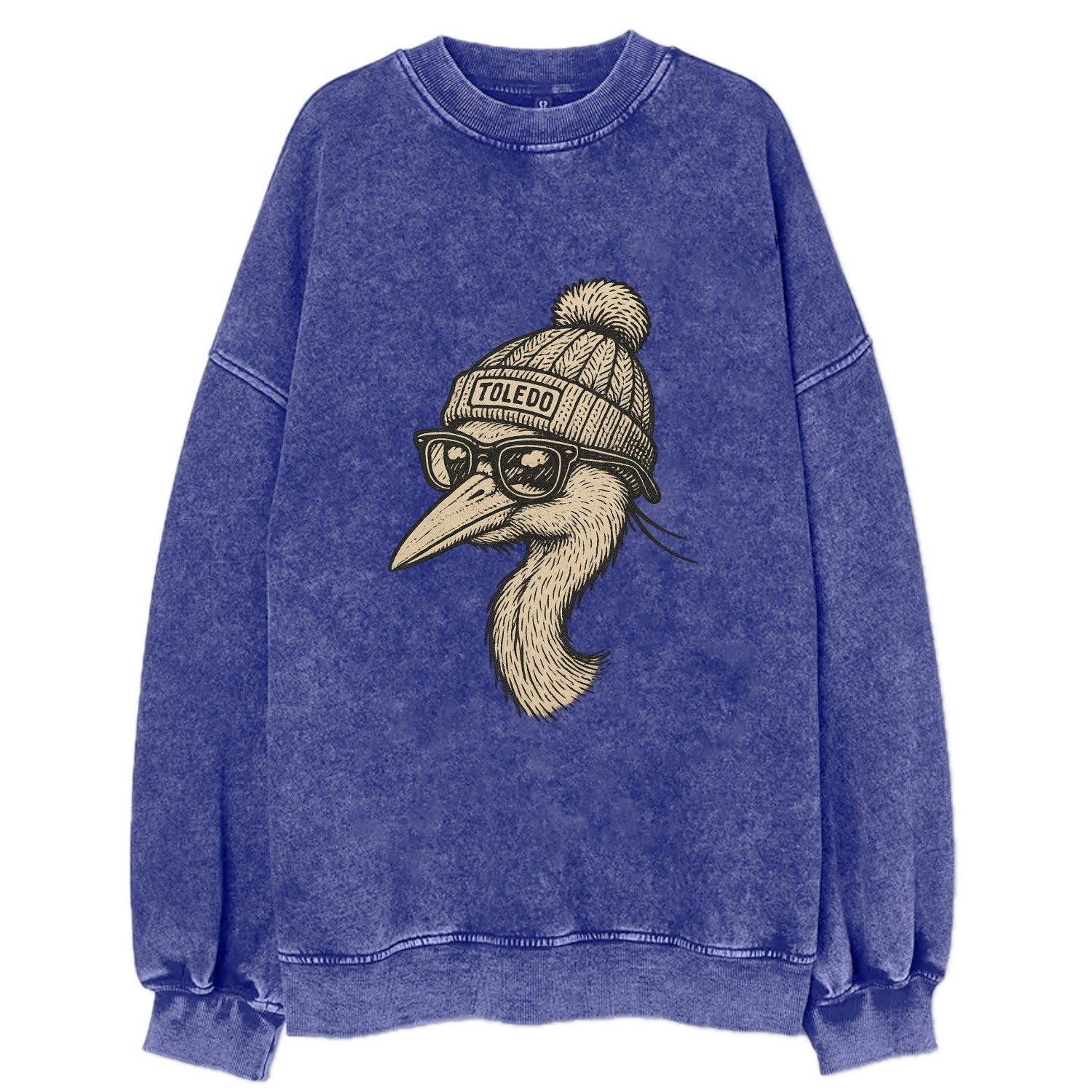 Toledo Great Blue Heron wearing Toledo beanie with pom pom and wayfarer - Vintage Sweatshirt - Blue