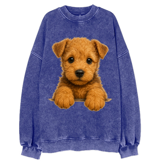 Lakeland Terrier  - Vintage Sweatshirt - Blue