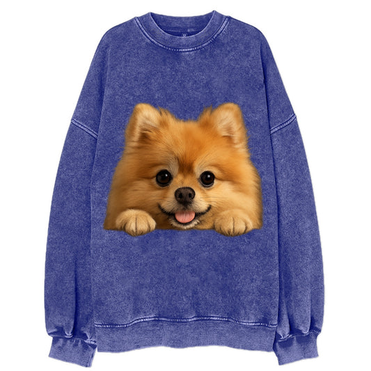 Pomeranian  - Vintage Sweatshirt - Blue