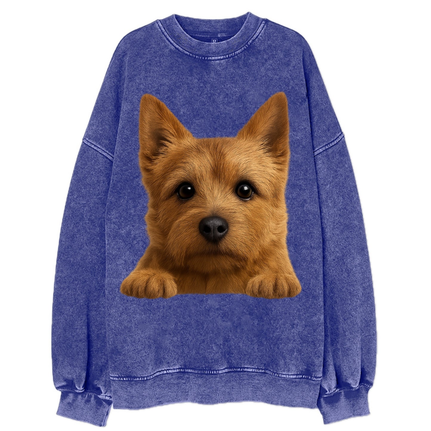 Norwich Terrier  - Vintage Sweatshirt - Blue