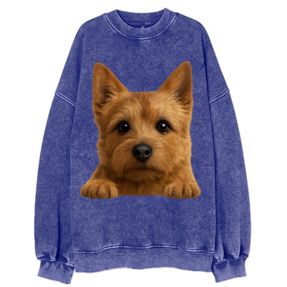 Norwich Terrier  - Vintage Sweatshirt - Blue