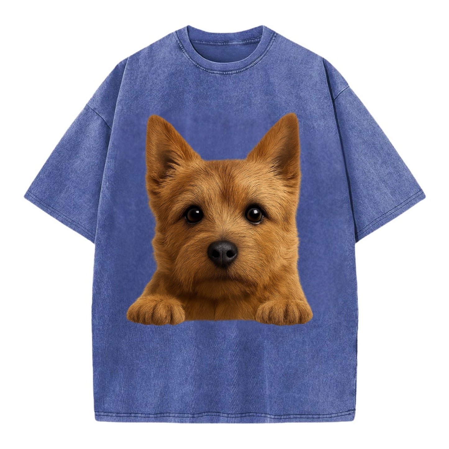 Norwich Terrier  - Vintage T-shirt - Blue
