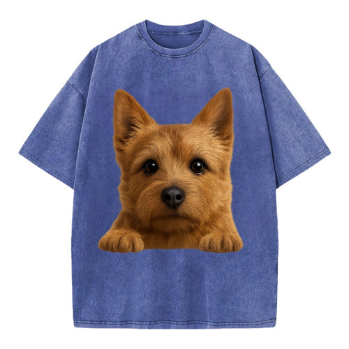 Norwich Terrier  - Vintage T-shirt