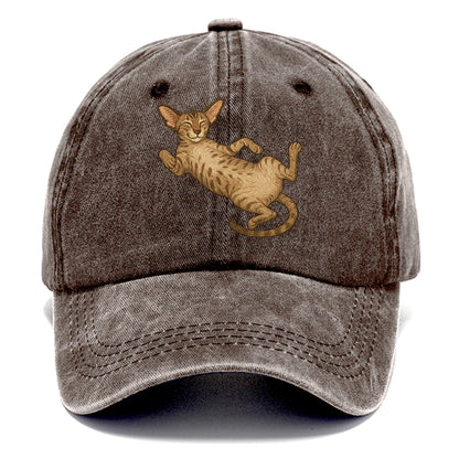 Oriental Shorthair  fully relaxed sprawl Classic Cap - Brown