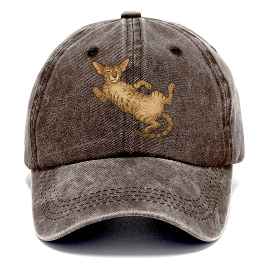 Oriental Shorthair  fully relaxed sprawl Classic Cap - Brown