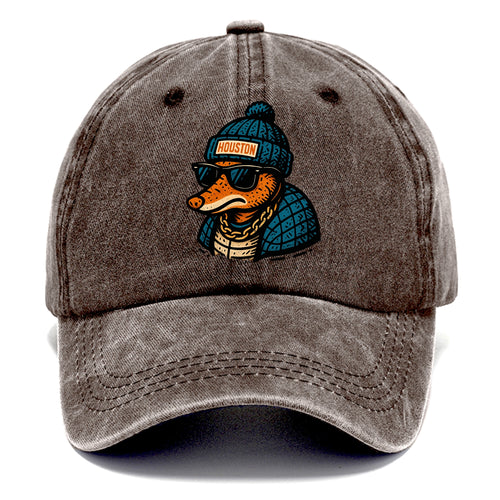 Houston Armadillo wearing Houston beanie with pom pom and wayfarer sunglasses - Classic Cap