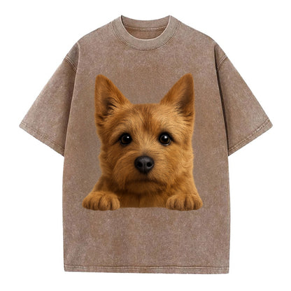 Norwich Terrier  - Vintage T-shirt - Brown