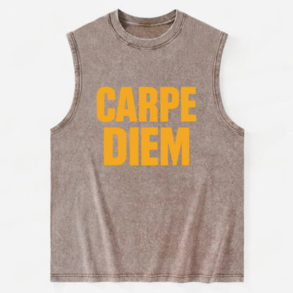 Bold typography design - "CARPE DIEM" - seize the day - Vintage Washed Tank - Brown