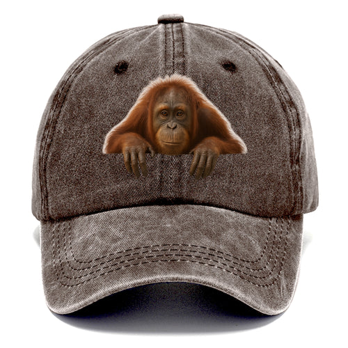 Orangutan  - Classic Cap