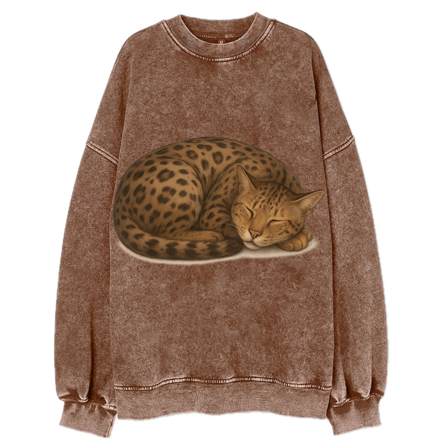 Ashera  - Vintage Sweatshirt - Brown