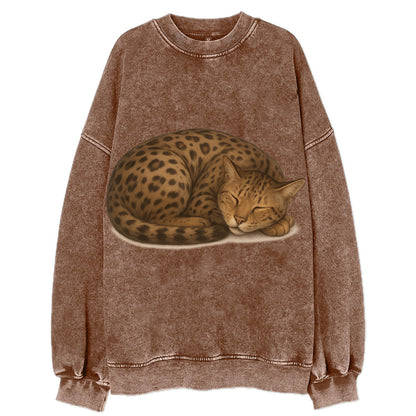 Ashera  - Vintage Sweatshirt - Brown