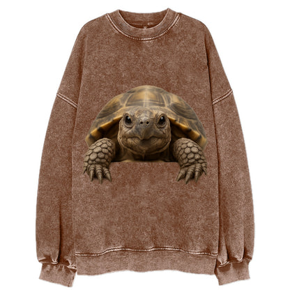 Tortoise  - Vintage Sweatshirt - Brown