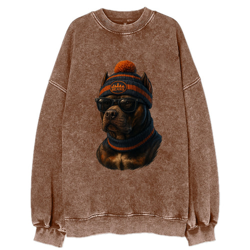 Chicago Pitbull wearing Bears beanie with skyline patch and wayfarer sunglasses - Vintage Sweatshirt