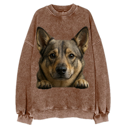 Swedish Vallhund  - Vintage Sweatshirt - Brown