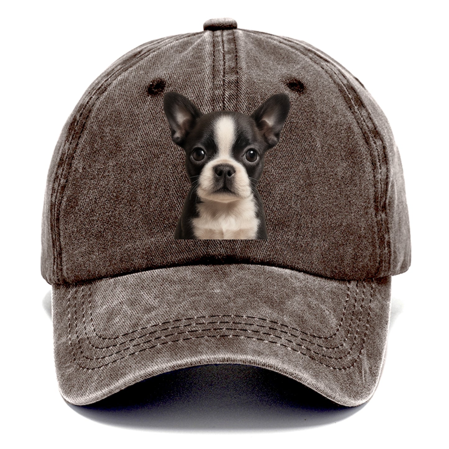Baby Boston Terrier Puppy - tuxedo markings, big round eyes, bat ears, front-facing, - Classic Cap - Brown
