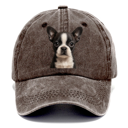 Baby Boston Terrier Puppy - tuxedo markings, big round eyes, bat ears, front-facing, - Classic Cap - Brown