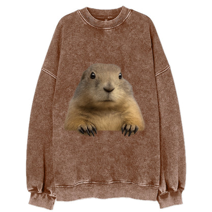 Prairie Dog  - Vintage Sweatshirt - Brown