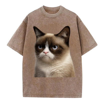 Grumpy Cat Expression  - Vintage T-shirt - Brown