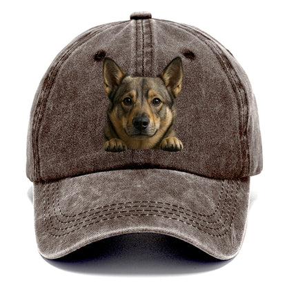 Swedish Vallhund  - Classic Cap - Brown