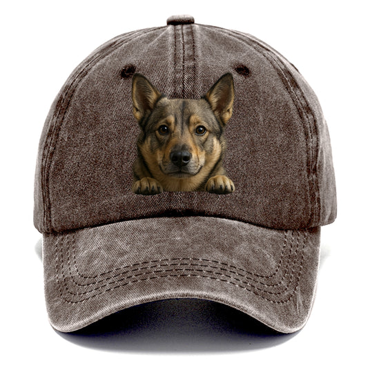 Swedish Vallhund  - Classic Cap - Brown