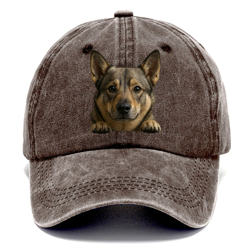 Swedish Vallhund  - Classic Cap