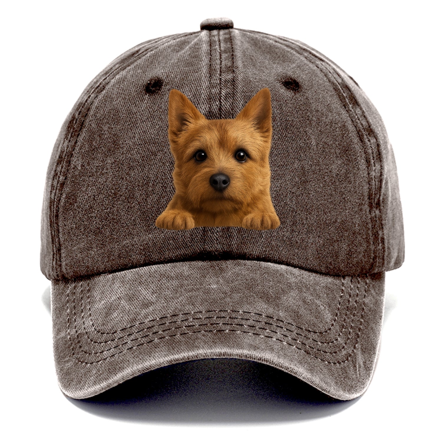Norwich Terrier  - Classic Cap - Brown